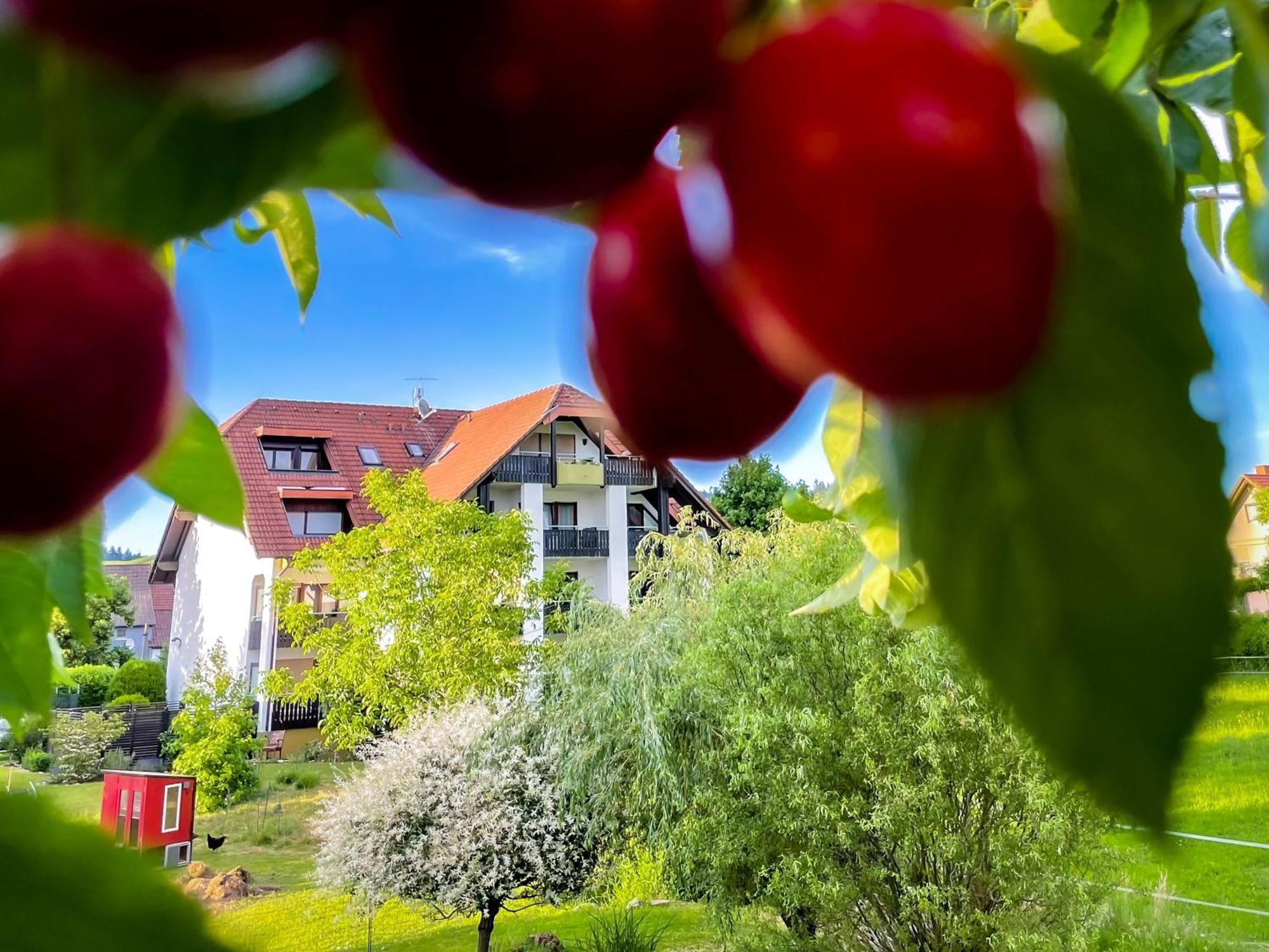 Gasthaus Hirschenstube & Gaestehaus Gehri Waldkirch Extérieur photo